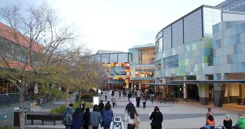 rubbish removal services in Macarthur